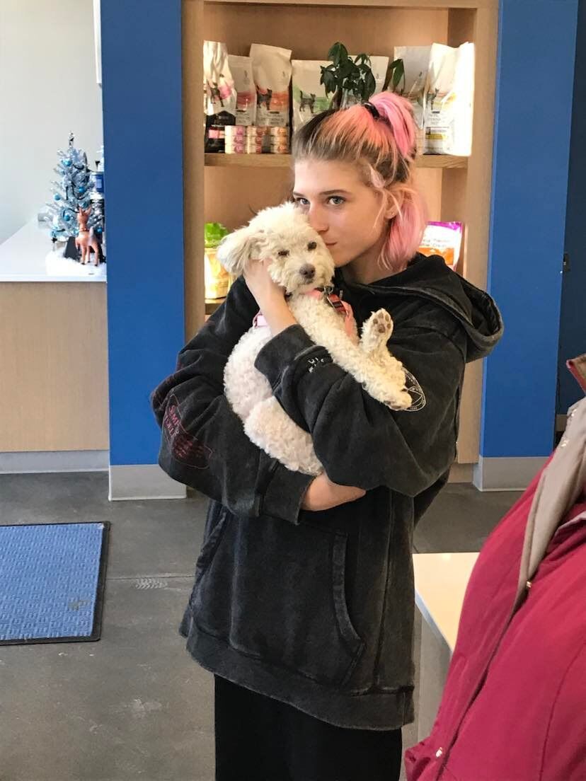 lost dog 1